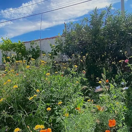 Soleiado 10 Pers Eco-gite Des Calanques Appartement *